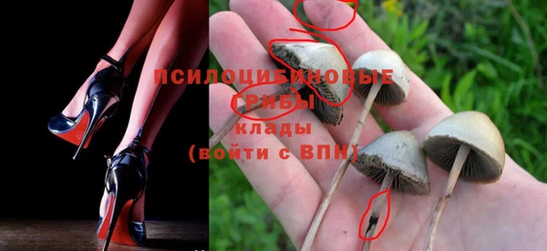 сатива Нефтегорск