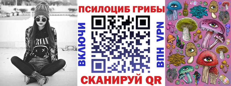 Псилоцибиновые грибы Psilocybine cubensis  закладки  Новоуральск 